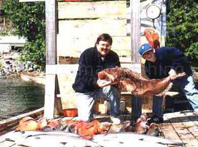 42 lb ling cod