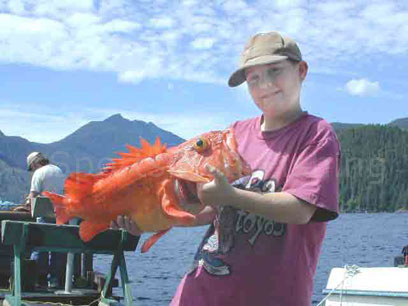 13 lb red snapper