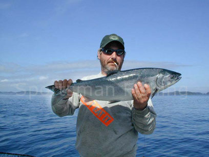 16 lb coho salmon