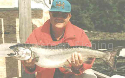 24 lb chinook salmon
