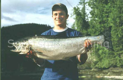 28 lb esperanza inlet chinook salmon