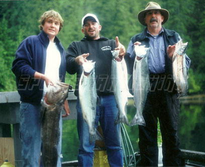 coho salmon or silvers in nootka sound